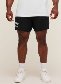 Lifting Mesh 5” shorts