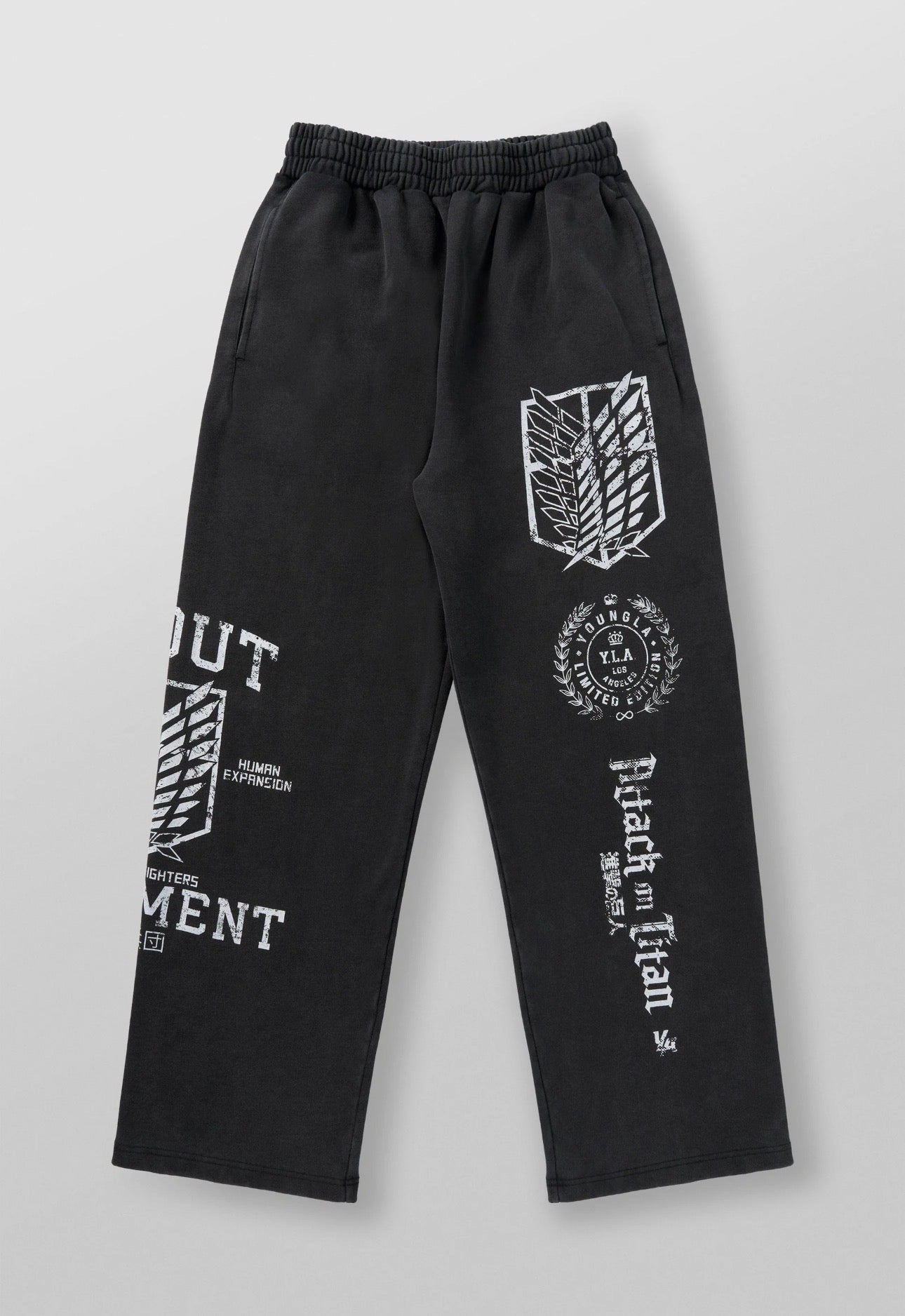 Attack On Titan joggers